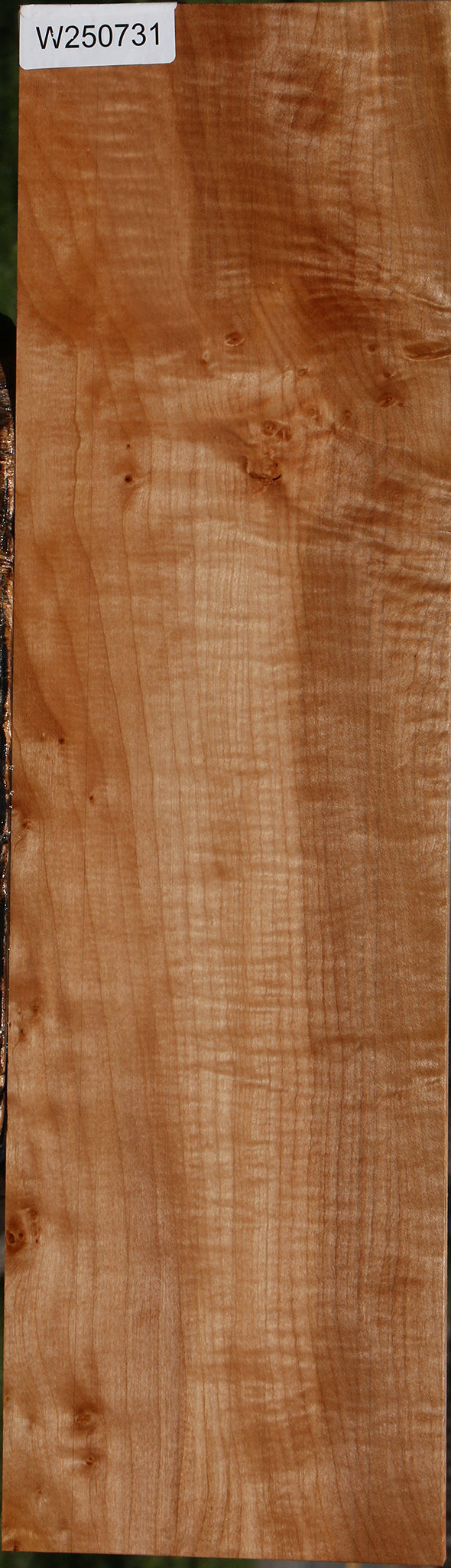 Extra Fancy Maple Lumber