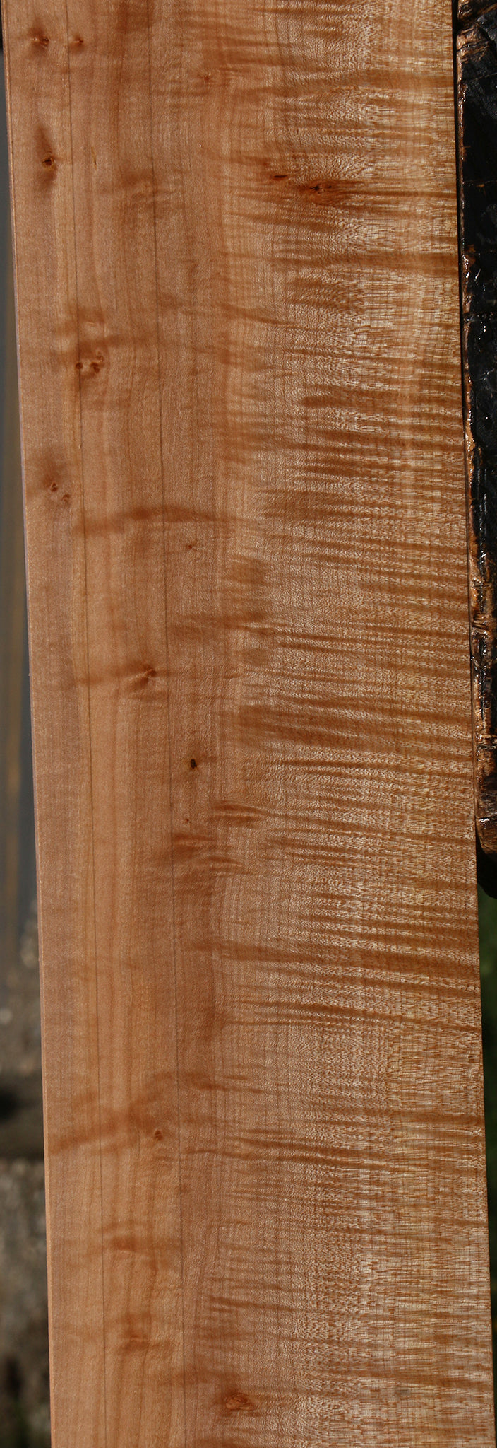 Extra Fancy Maple Lumber