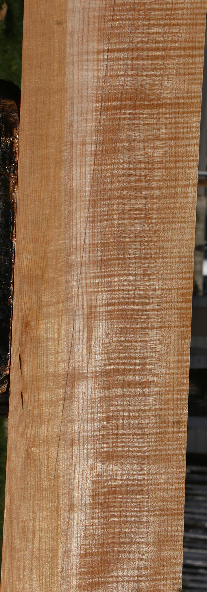 Extra Fancy Maple Lumber