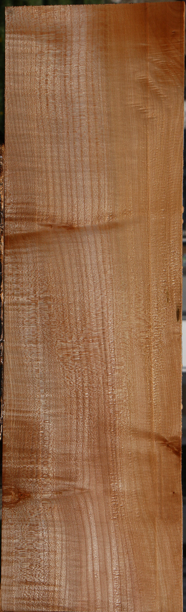 Extra Fancy Maple Lumber