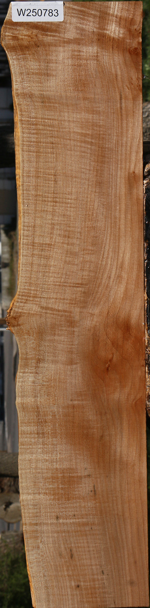 Extra Fancy Maple Live Edge Micro Lumber