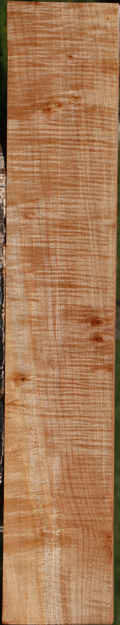 Extra Fancy Maple Lumber