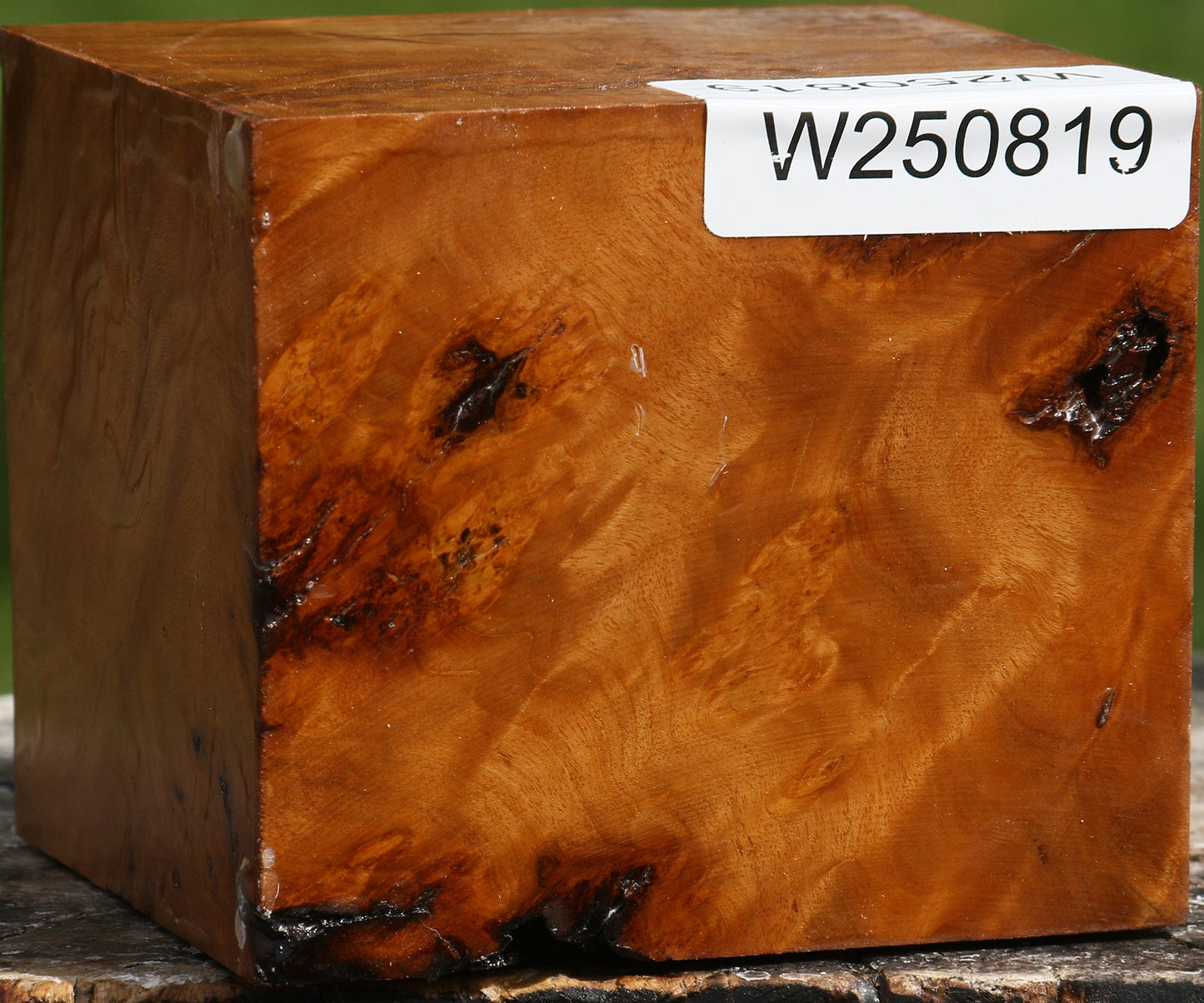 Hopea Stone Burl Bowl Blank
