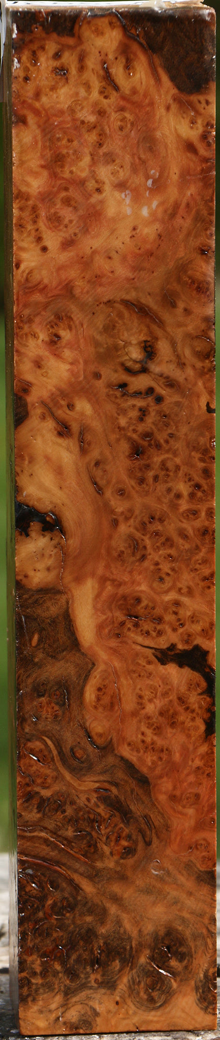 Hopea Stone Burl Turning Square