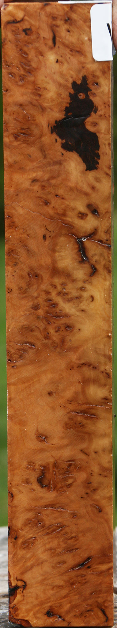 Rustic Hopea Stone Burl Turning Square