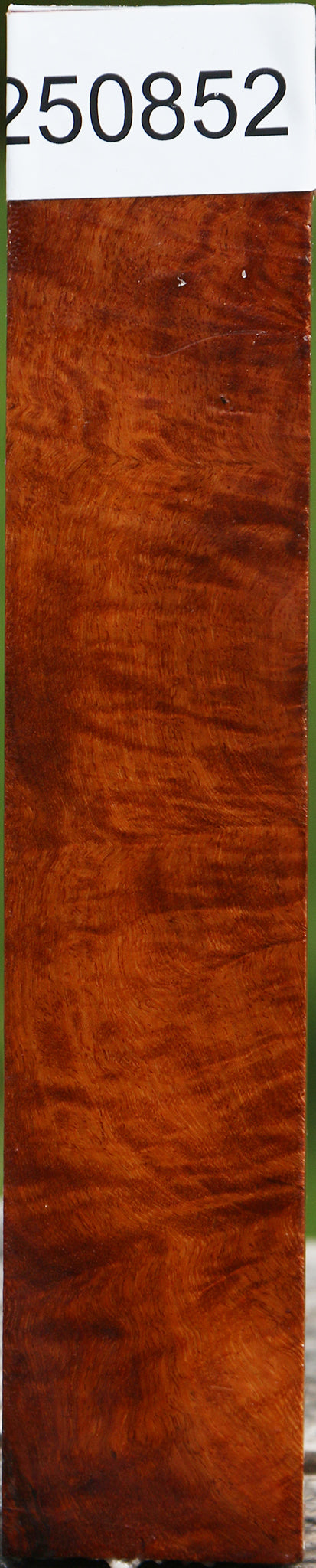 Hopea Stone Burl Turning Square