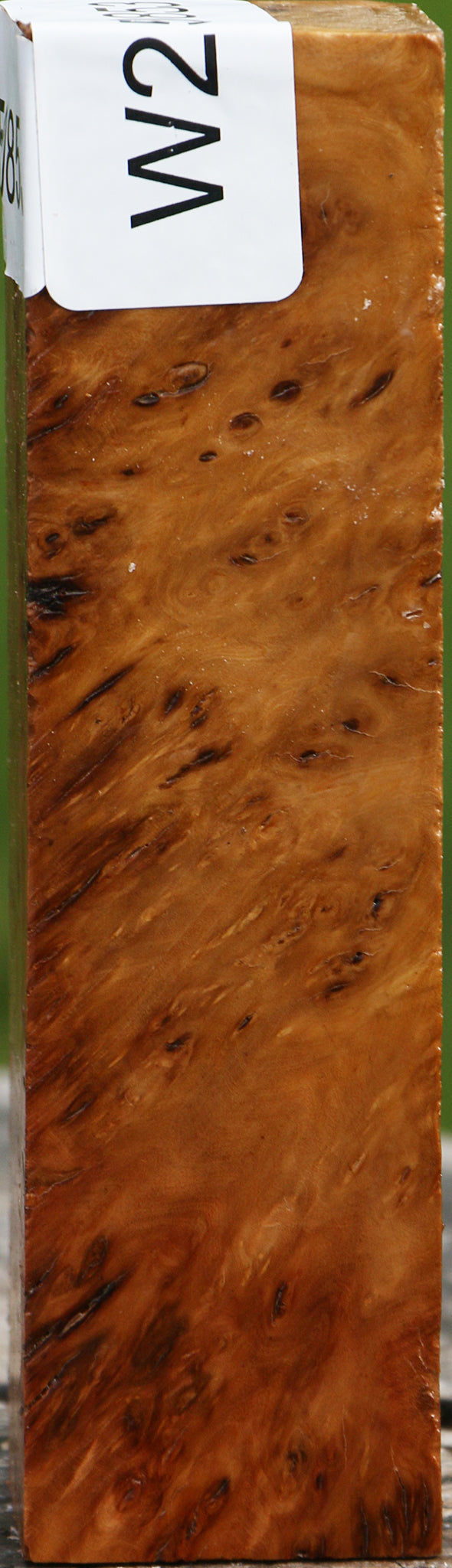 Hopea Stone Burl Turning Square