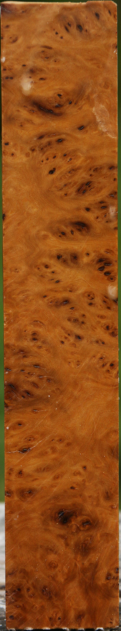 Hopea Stone Burl Turning Square