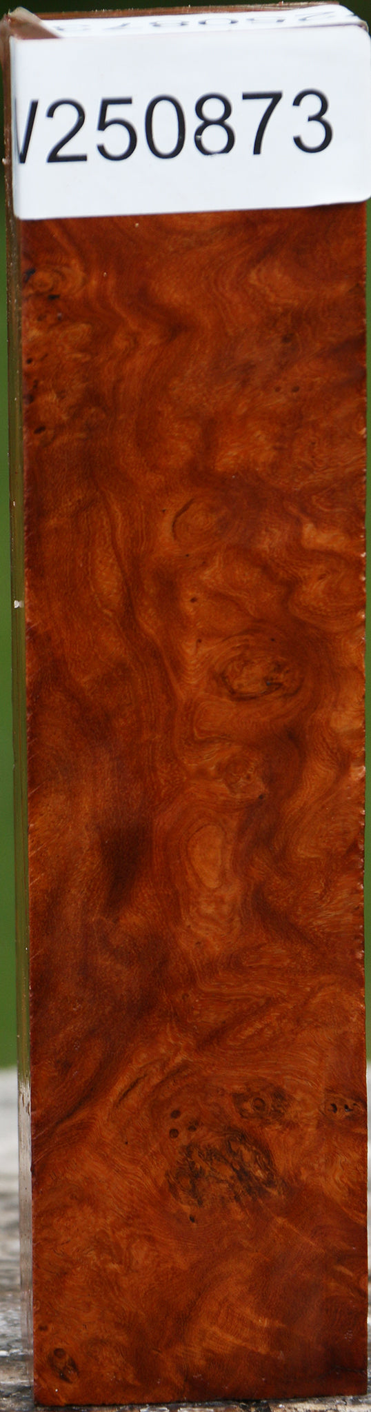 Asian Iron Burl Turning Blank