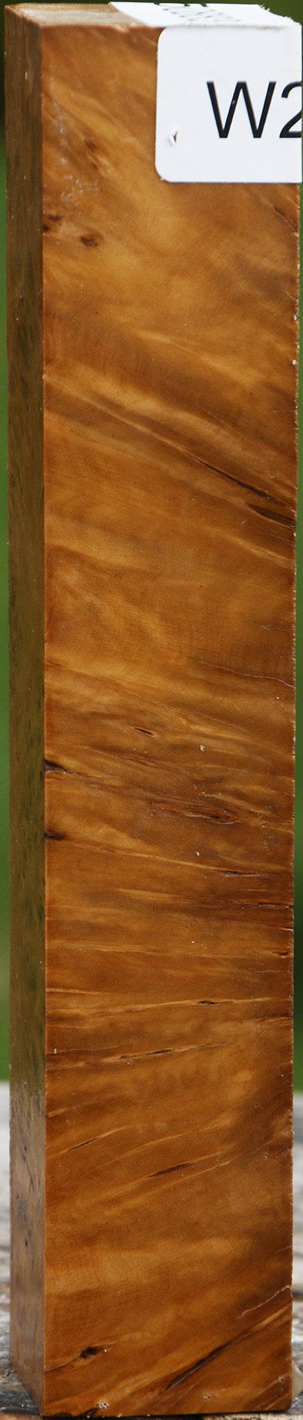 Hopea Stone Burl Turning Square