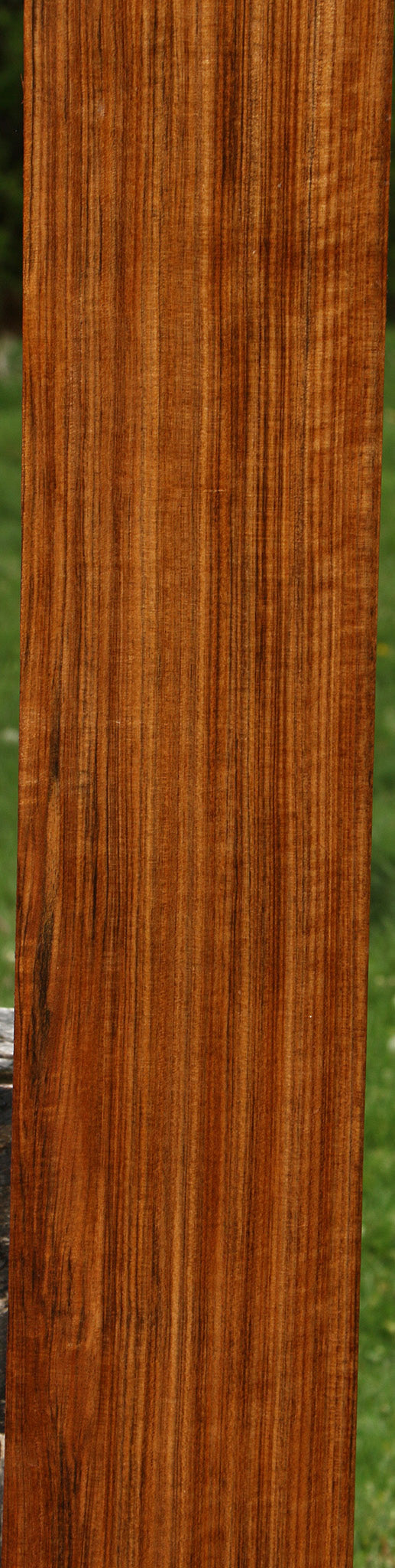 Figured Quartersawn Amazique Lumber