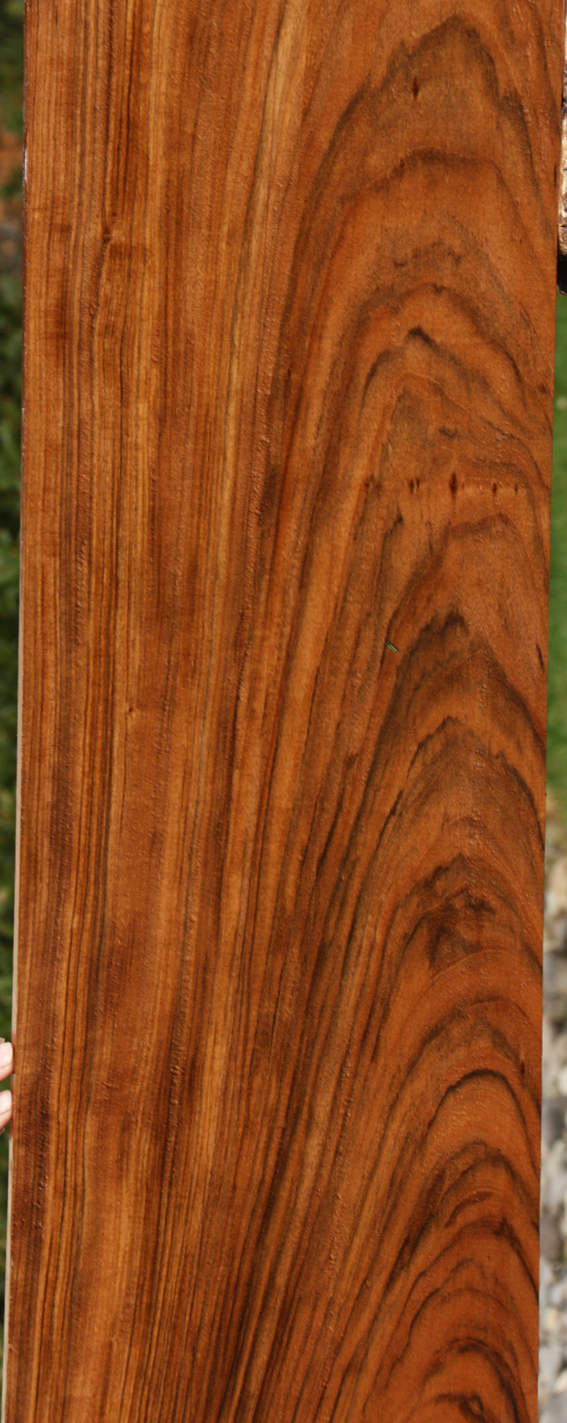 Figured Amazique Lumber