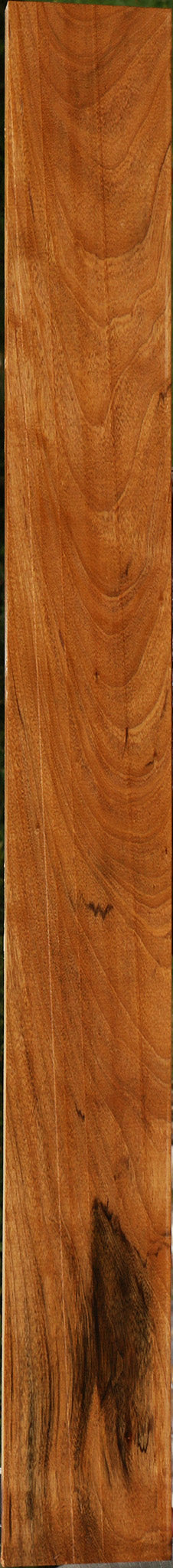 Amazique Lumber