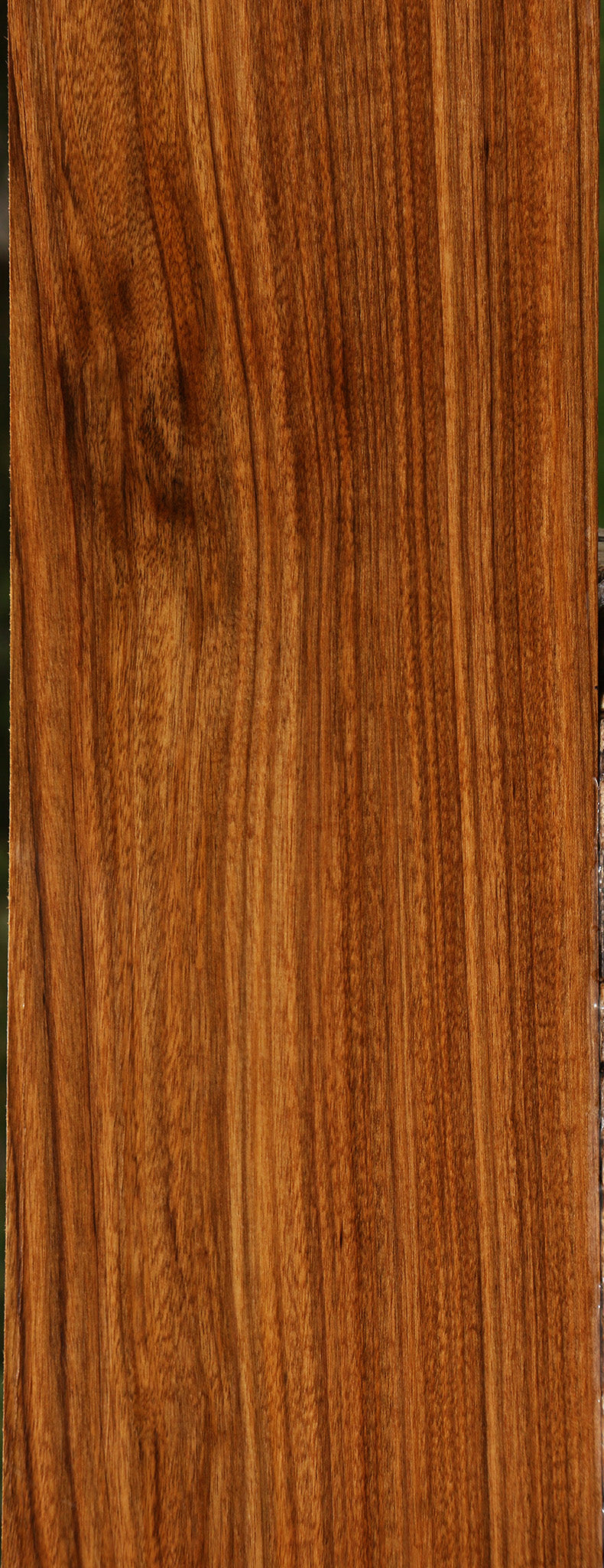Amazique Lumber