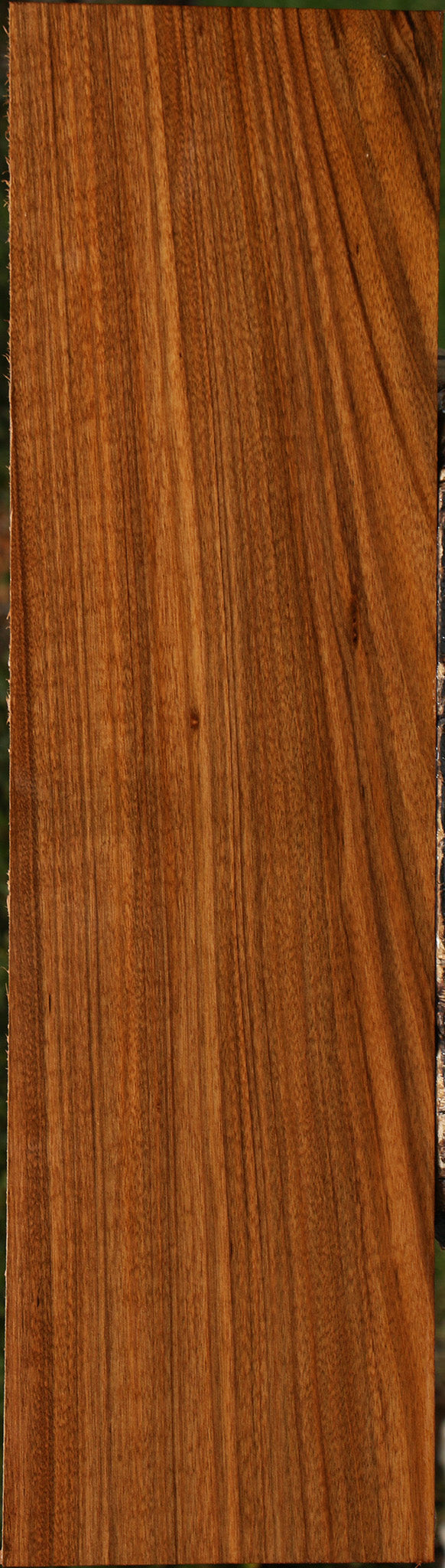 Figured Amazique Lumber