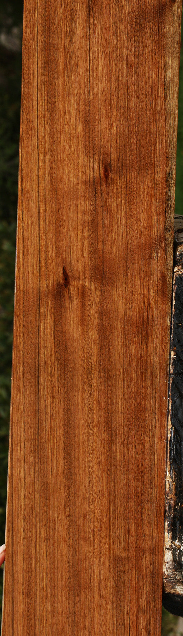 Amazique Lumber