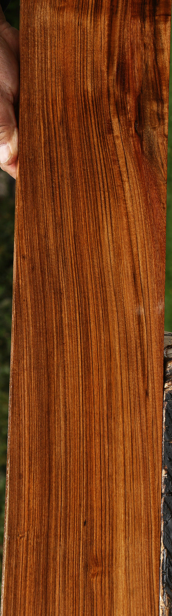 Amazique Lumber