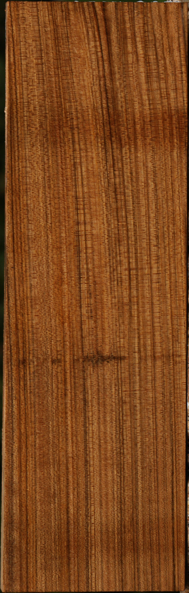 Amazique Lumber