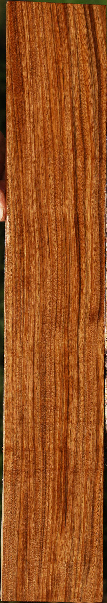 Figured Amazique Lumber
