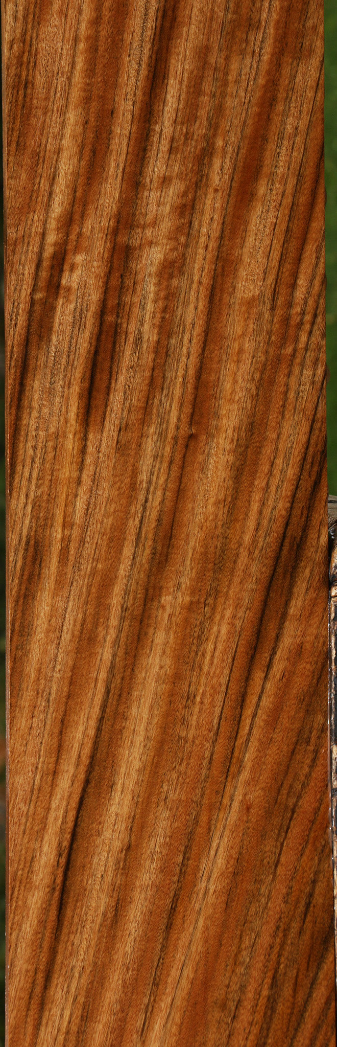 Figured Amazique Lumber