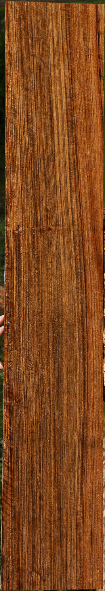 Figured Amazique Lumber