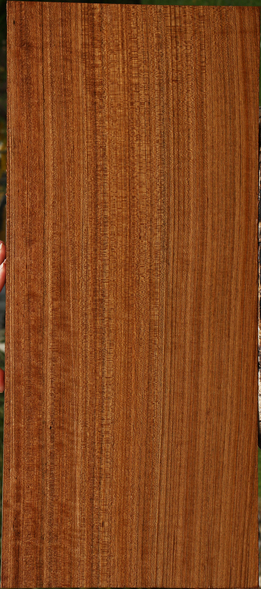 Extra Fancy Quartersawn Amazique Instrument Lumber