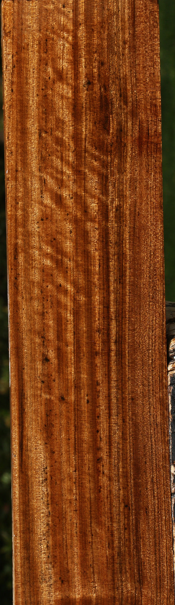 Extra Fancy Quartersawn Amazique Lumber
