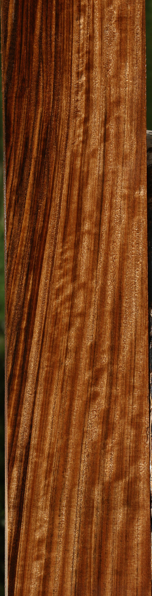 Extra Fancy Amazique Lumber
