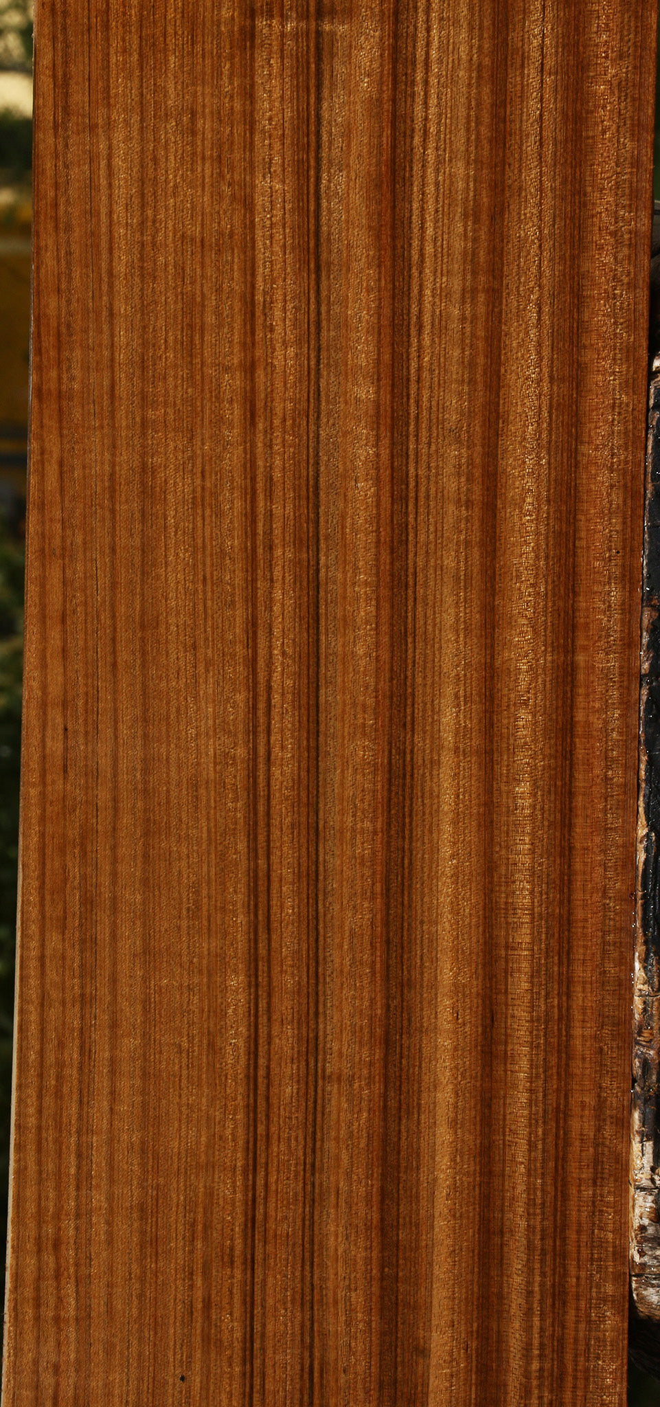 Figured Quartersawn Amazique Instrument Lumber