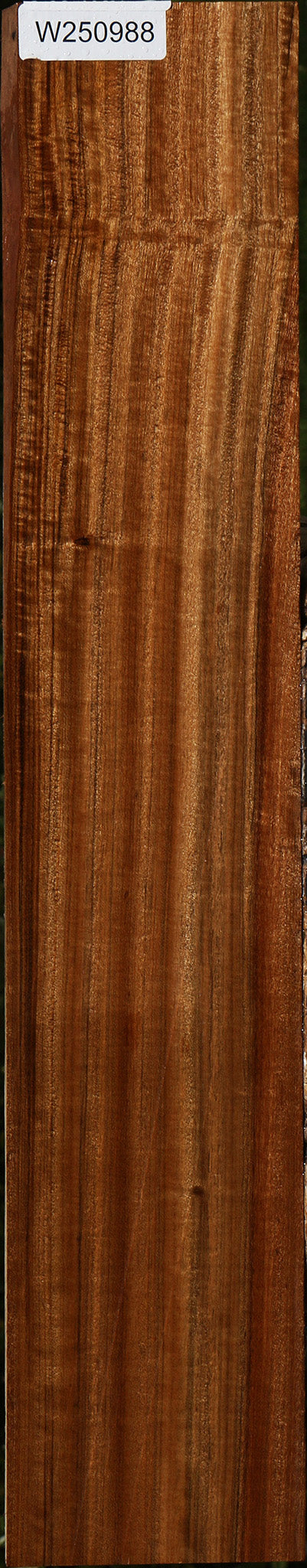 Figured Quartersawn Amazique Lumber