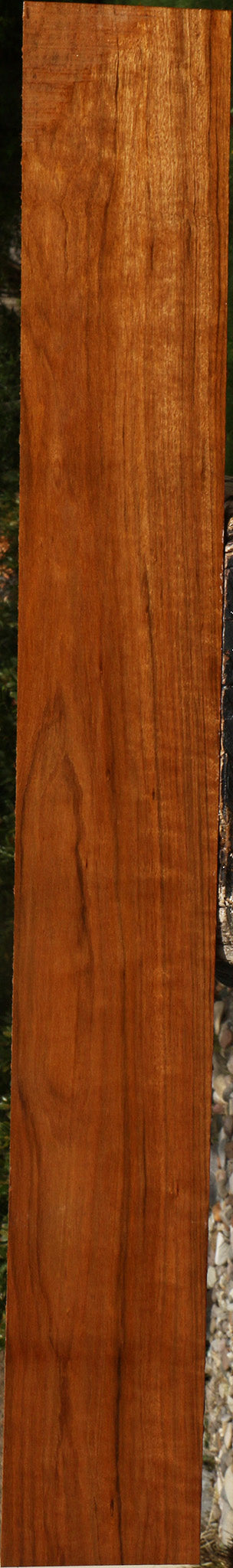 Figured Amazique Lumber