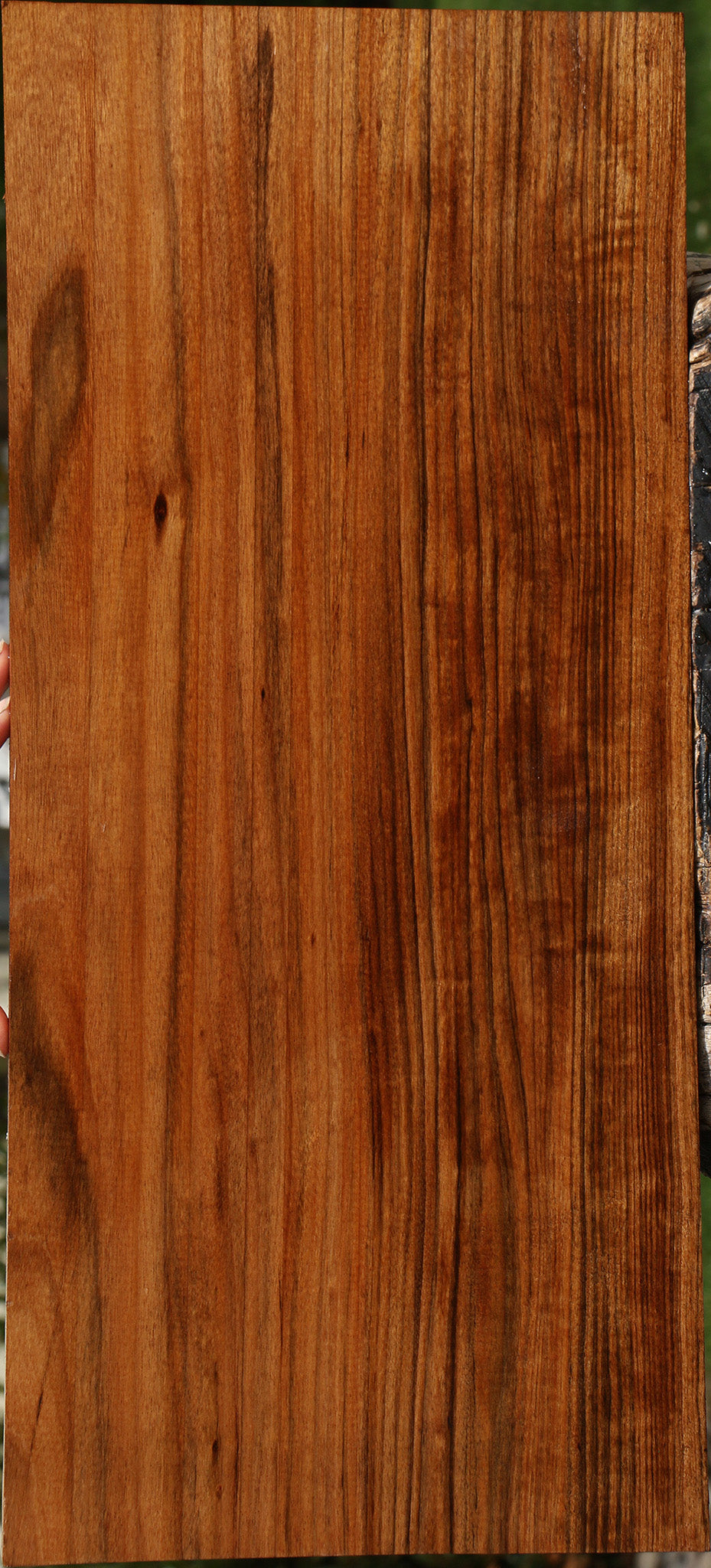 Figured Amazique Lumber