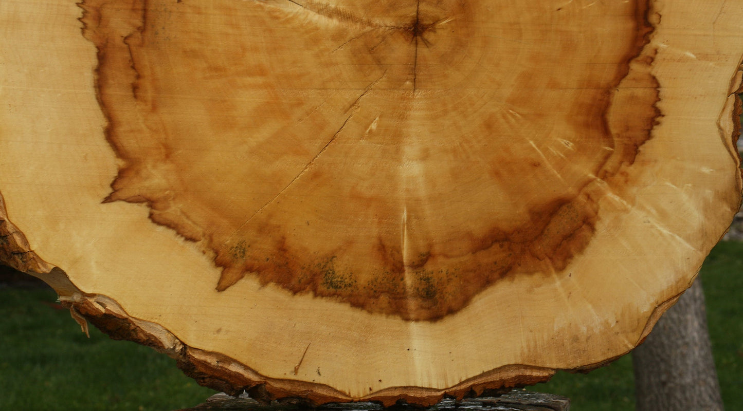 Box Elder Cookie