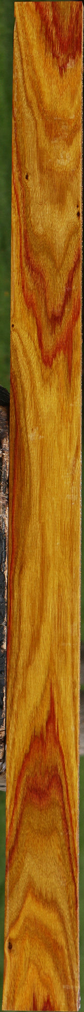 Extra Fancy Canary Lumber