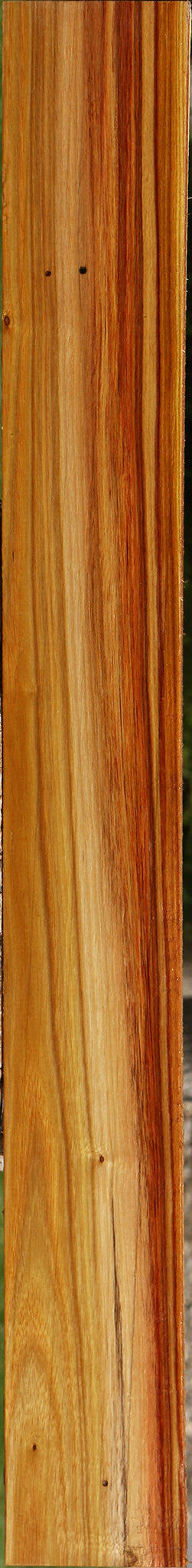 Canary Lumber