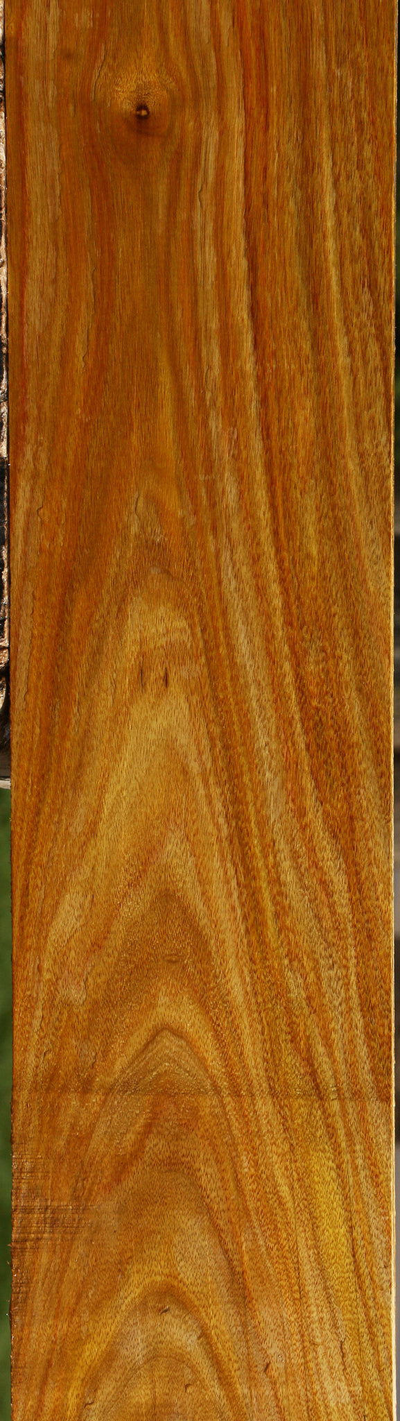 Canary Lumber