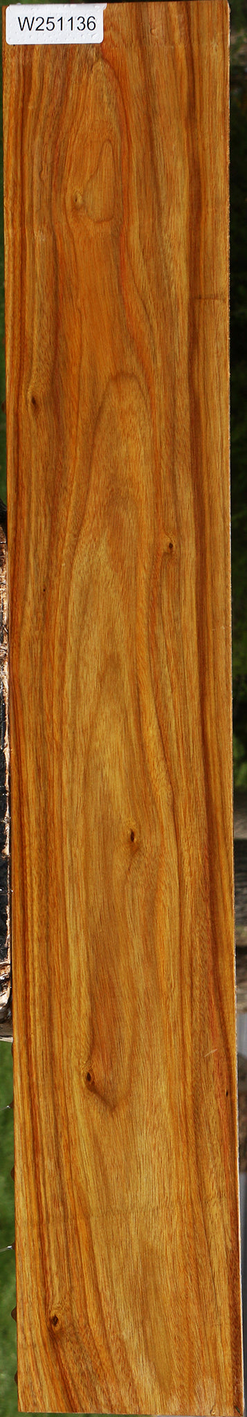 Canary Lumber