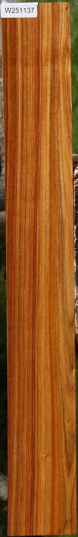 Canary Lumber