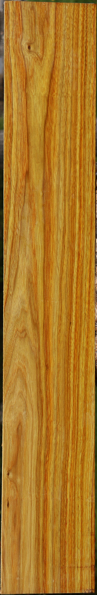 Canary Lumber