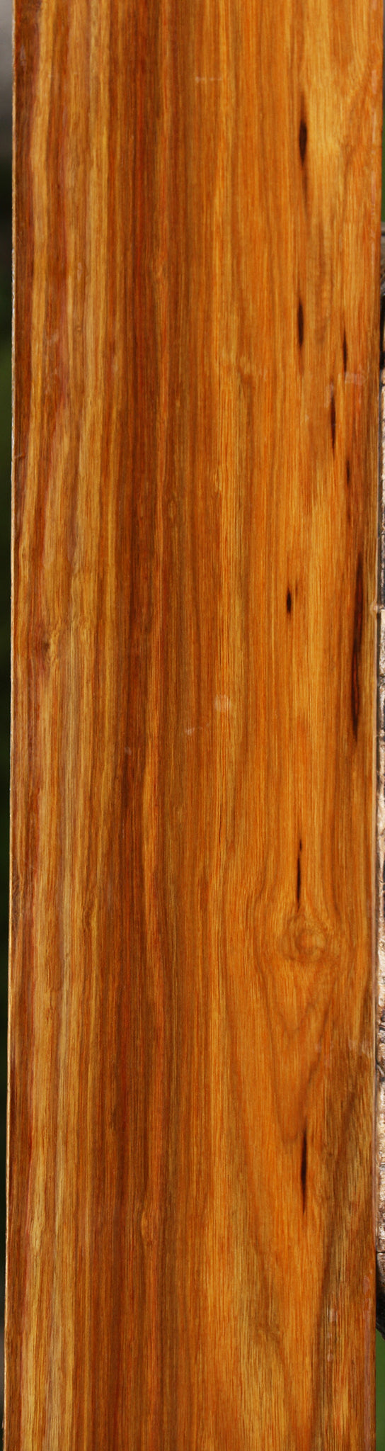 Canary Lumber
