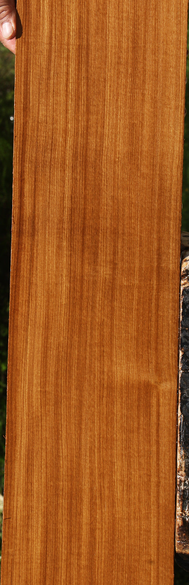 Figured Afrormosia Lumber