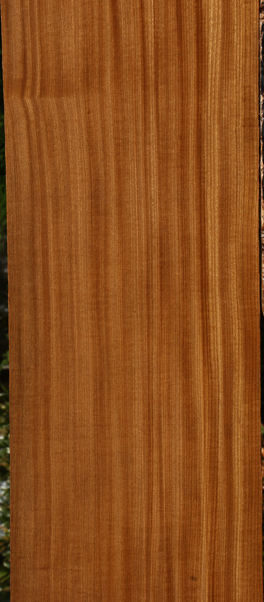 Figured Quartersawn Afrormosia Lumber