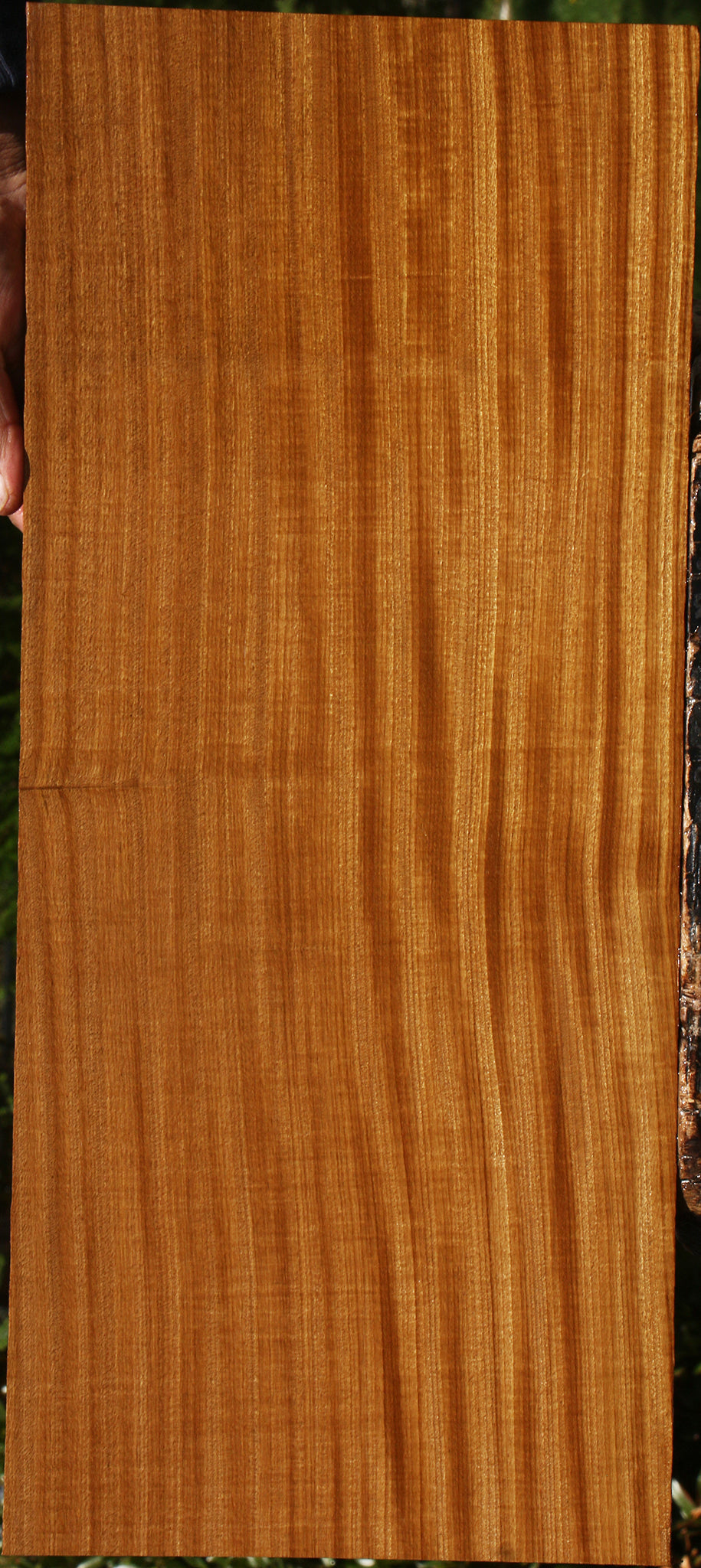 Extra Fancy Quartersawn Afrormosia Lumber