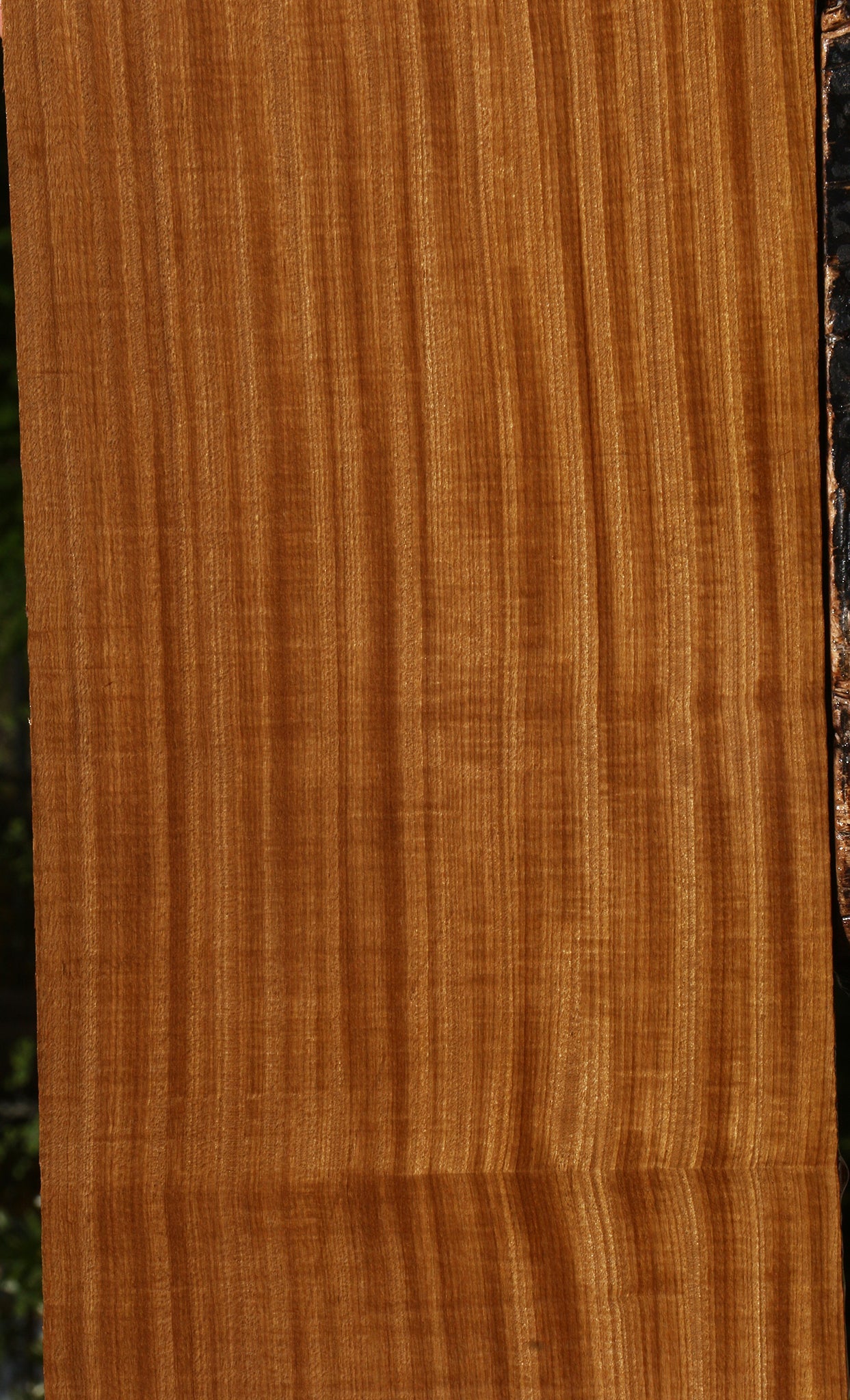 Extra Fancy Quartersawn Afrormosia Lumber