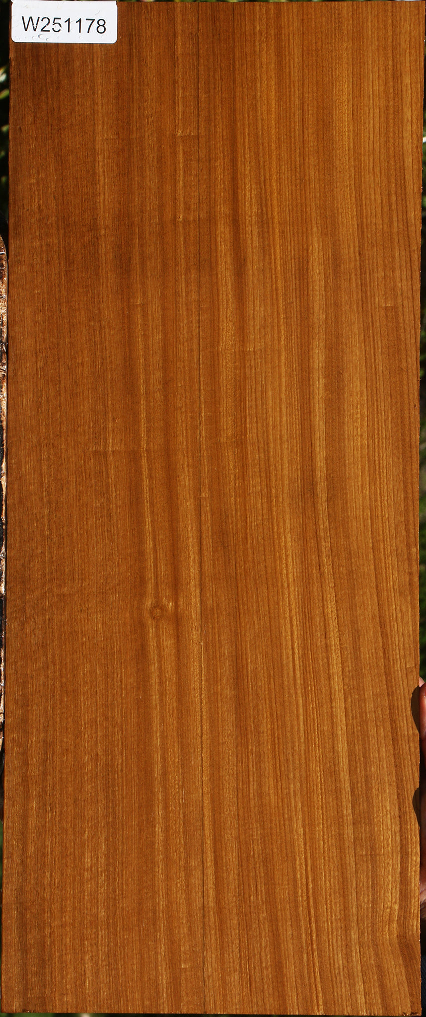 Figured Afrormosia Lumber