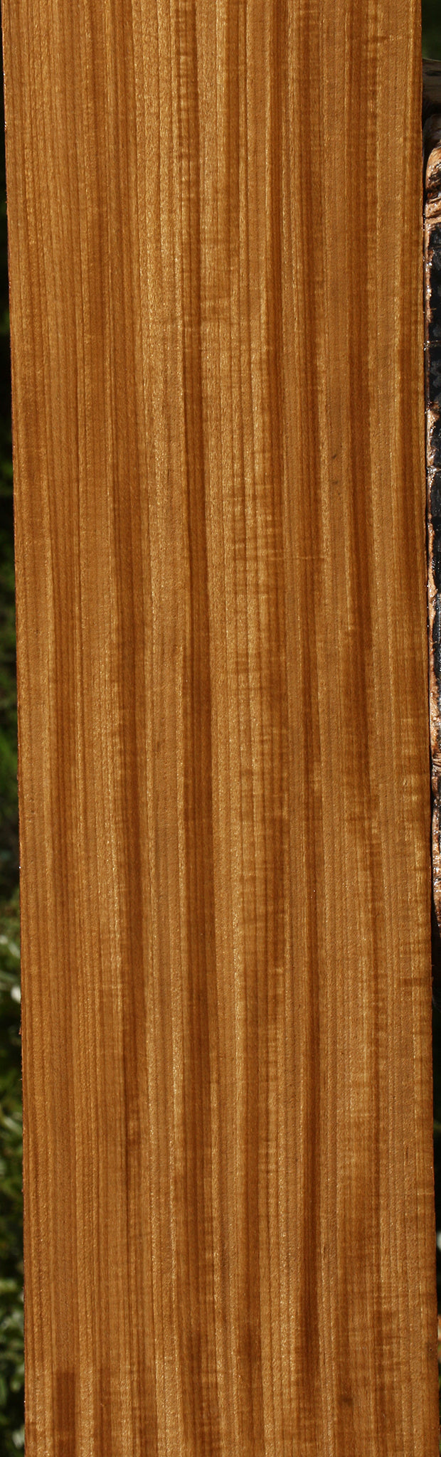 Extra Fancy Quartersawn Afrormosia Lumber