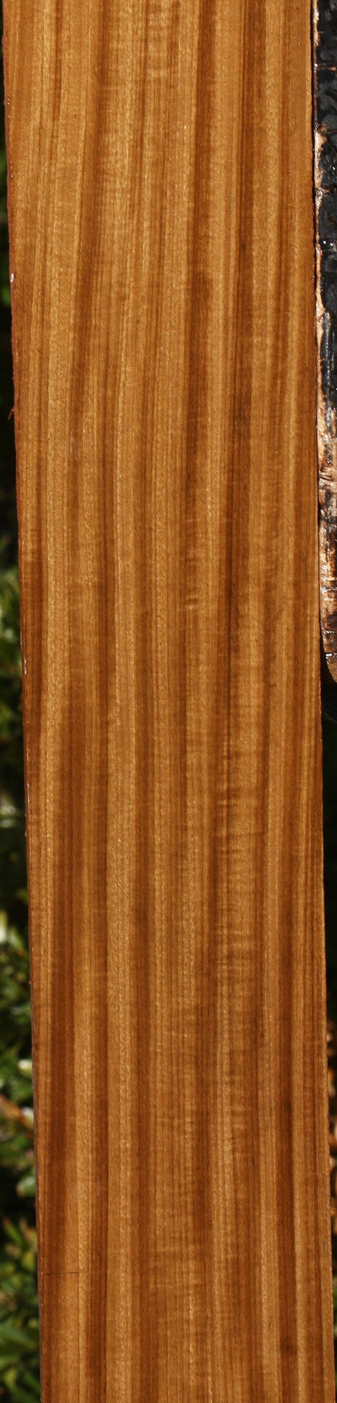 Figured Afrormosia Lumber