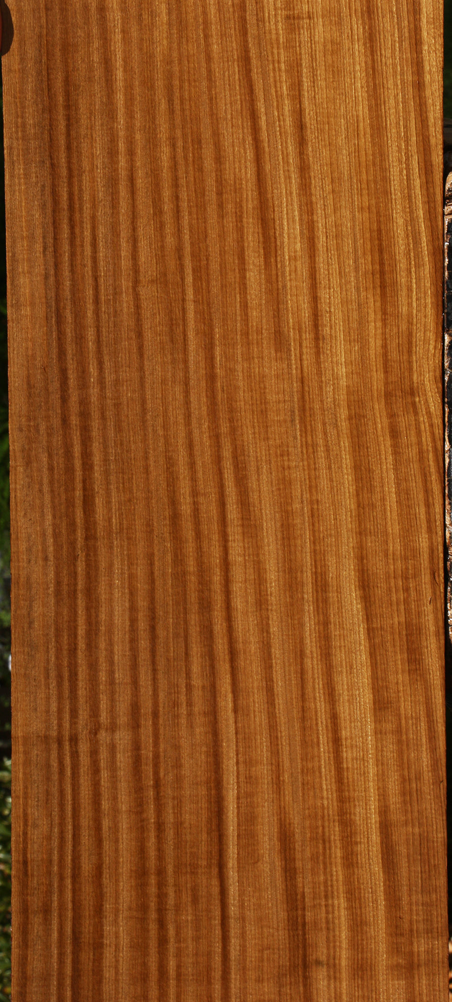 Extra Fancy Quartersawn Afrormosia Lumber