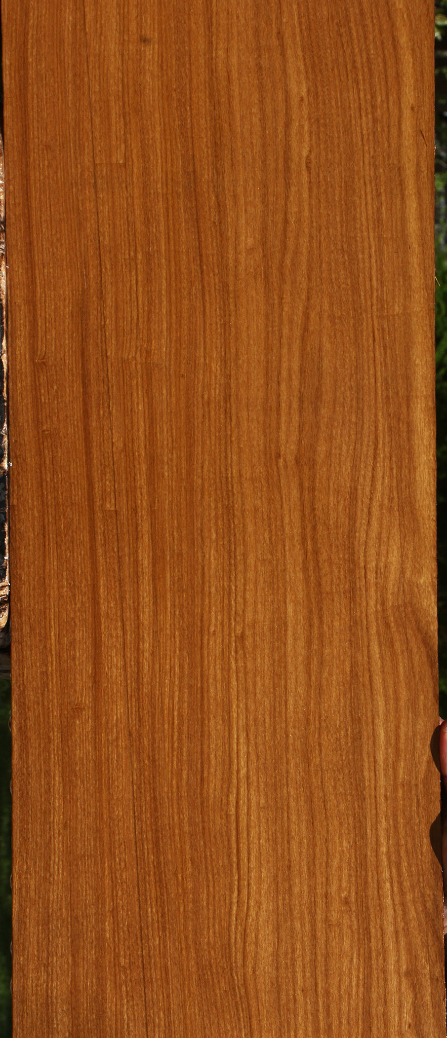 Afrormosia Lumber