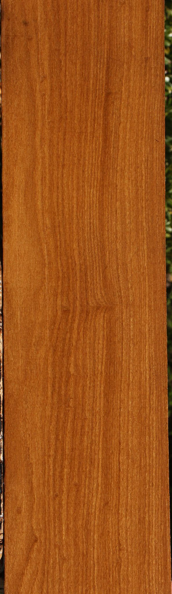 Afrormosia Lumber